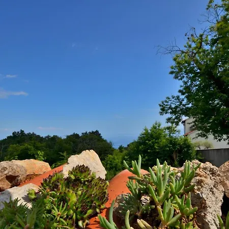 Apartment New With Terrace And Sea View 1 Poljane